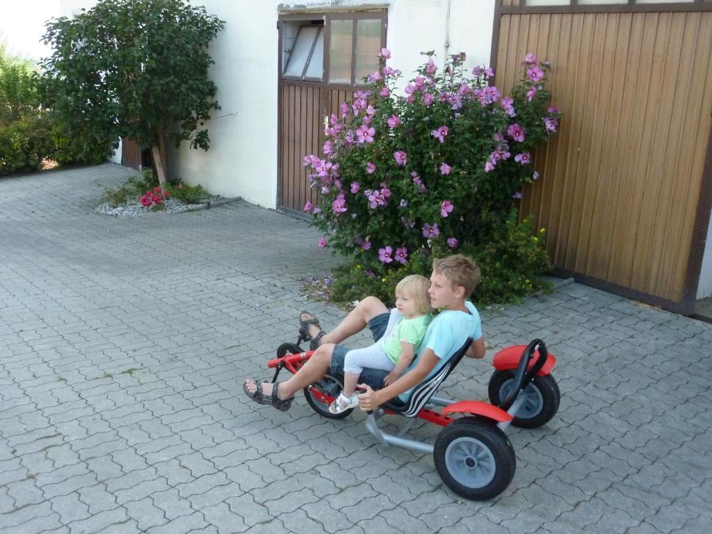 Goelsenhof - Fam. Buechinger Wald (Lower Austria) Exterior foto